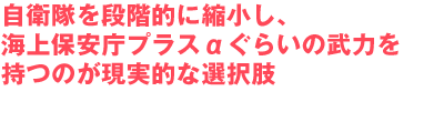 自衛隊を段階的に縮小し、
海上保安庁プラスαぐらいの武力を
持つのが現実的な選択肢