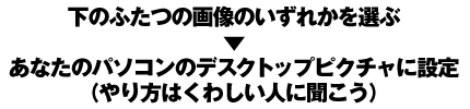 As[̎菇