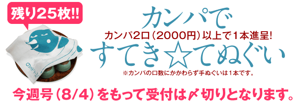 カンパで「すてき☆てぬぐい」