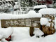（第１４回）初雪