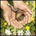 vol.156　牛の鈴音